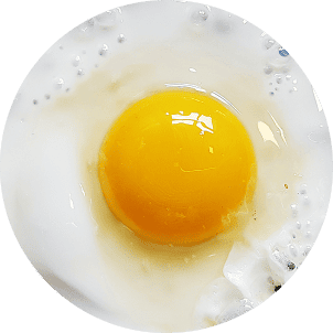 A sunny side up egg